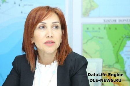 İradə İbrahimova: “Ağac kəsənlər ifşa olunmalıdır” - FOTO