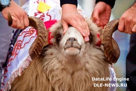 Azərbaycanda Qurban bayramı qeyd olunur