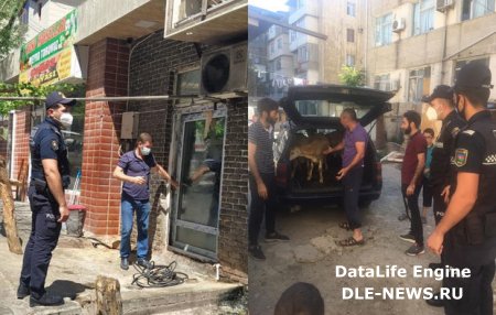 Polis qurbanlıq heyvanların satışının həyata keçirildiyi ərazilərdə reyd keçirdi - FOTO