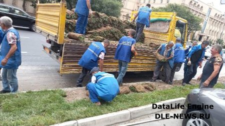 Nəsimi rayonunda abadlıq-quruculuq işləri davam etdirilir