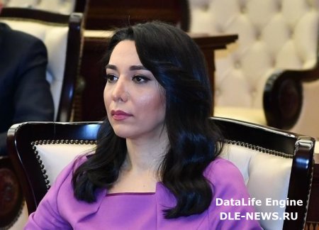 Ombudsman Məleykə Abbaszadəyə müraciət etdi