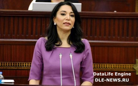 Ombudsman növbəti erməni təxribatına dair beynəlxalq təşkilatlara müraciət edib