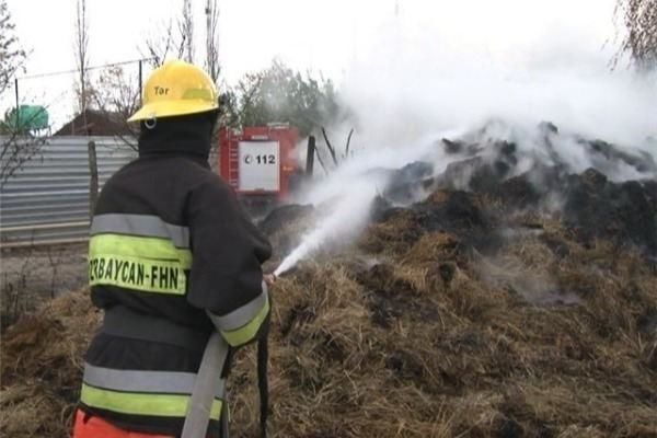 Masallıda 16 ton ot bağlaması yandı