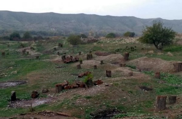 Hikmət Hacıyevdən növbəti erməni barbarlığı barədə paylaşım - FOTO