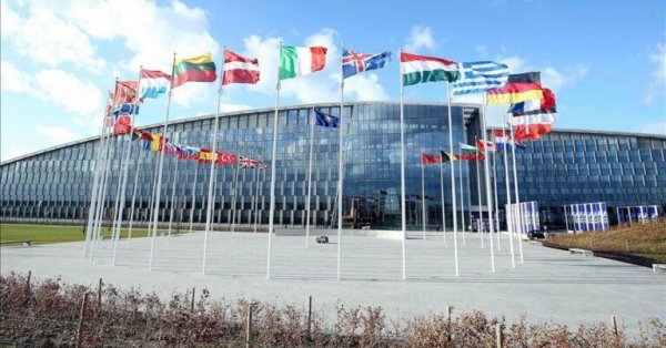 NATO baş katibinin Cənubi Qafqaz üzrə yeni xüsusi nümayəndəsi təyin olundu - FOTO