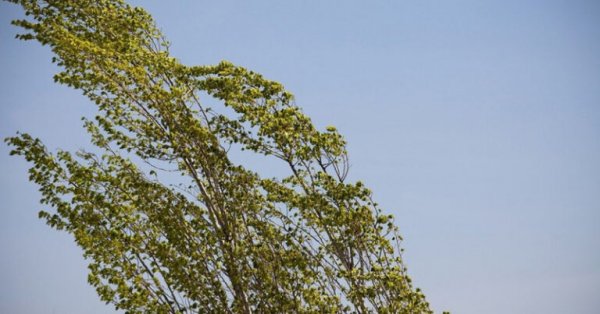 İstirahət günlərinin hava proqnozu AÇIQLANDI