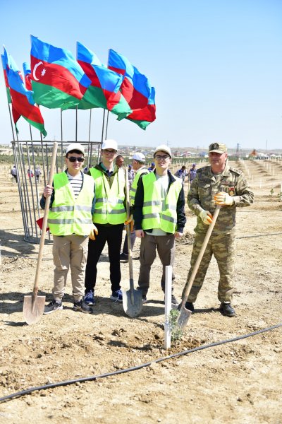 BME – Schindler” şirkəti ağacəkmə aksiyası keçirdi