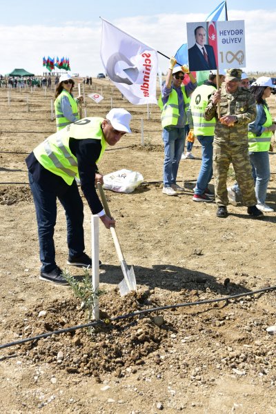 BME – Schindler” şirkəti ağacəkmə aksiyası keçirdi